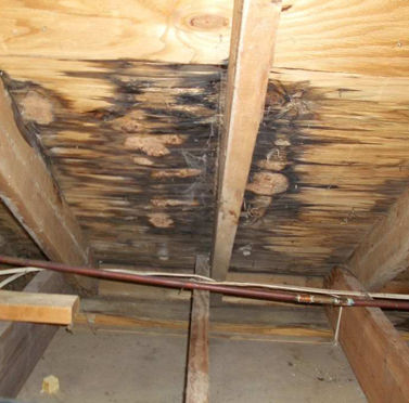 Attic Leak Repair Putnam Valley NY