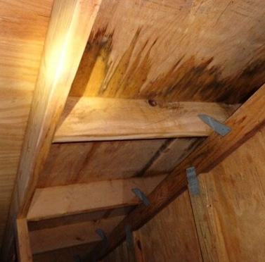 Roof Plywood Repair Putnam Valley NY